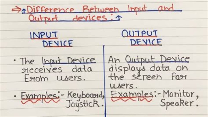What is the difference between input and output in science?
