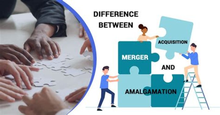 What is the difference between merger/acquisition and amalgamation?