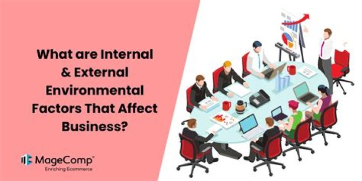 What is the difference between the internal and external environments Brainly?