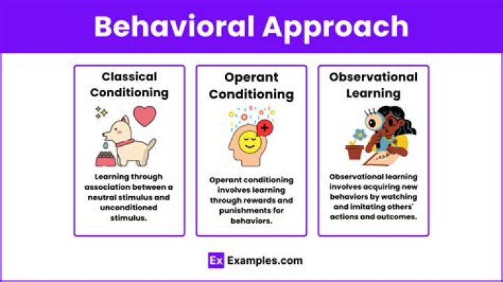 What is the example of behavioral approach?