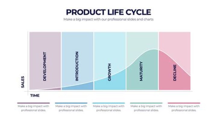 What is the example of product life cycle?