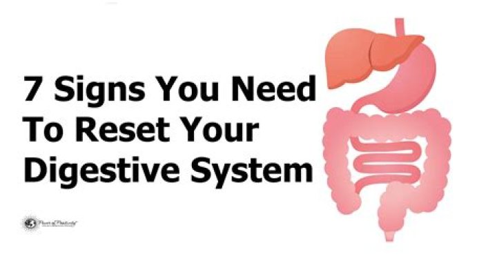 What is the fastest way to reset your digestive system?