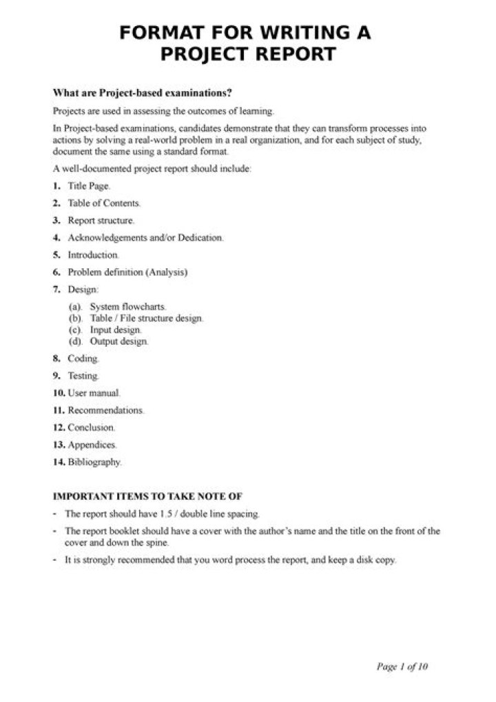 What is the format of a project report?