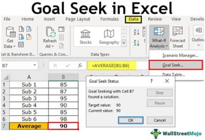 What is the goal seeking analysis?