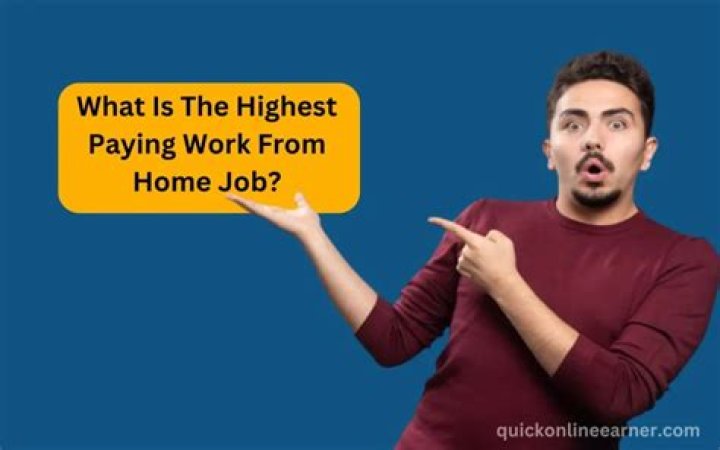 What is the highest paying work from home job?