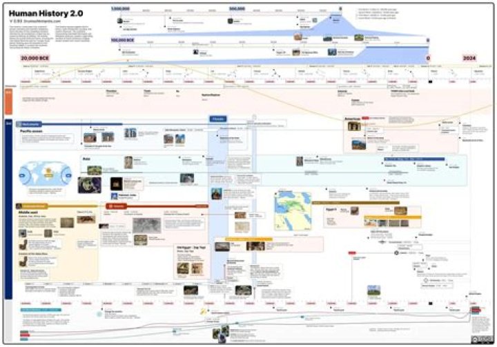 What is the history of employment?