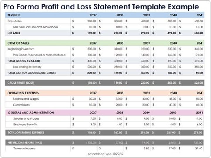 What is the importance of pro forma statement?