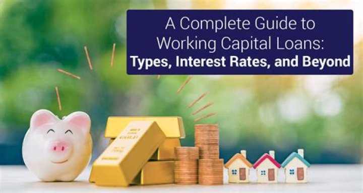 What is the largest source of working capital loans?