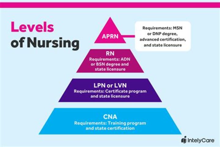 What is the lowest level of nurse?