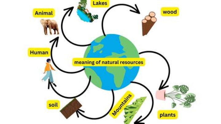 What is the meaning of international environment?
