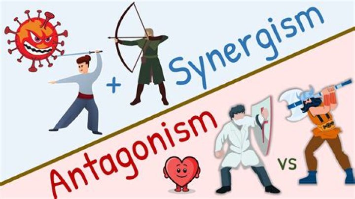 What is the meaning of synergistic reaction?