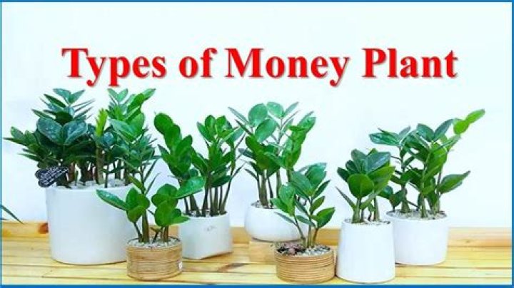 What is the money called when someone dies?
