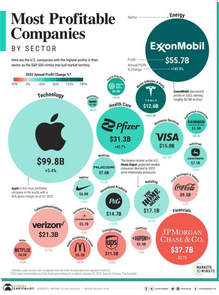 What is the most profitable company?