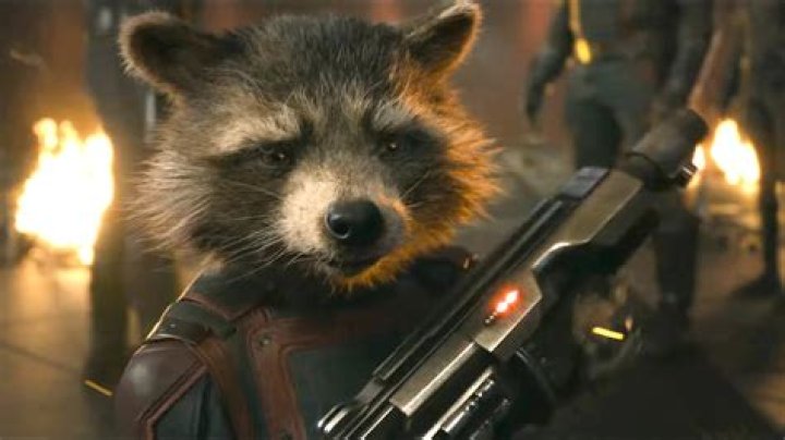 What is the natural enemy of the raccoon?