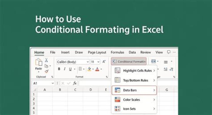 What is the need of formatting in excel?