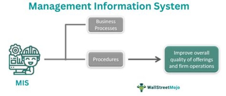 What is the need of MIS in an Organisation?