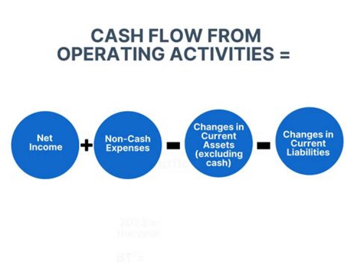 What is the net cash flow from operating activities?