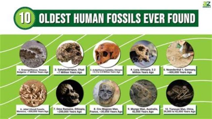 What is the oldest human DNA found?