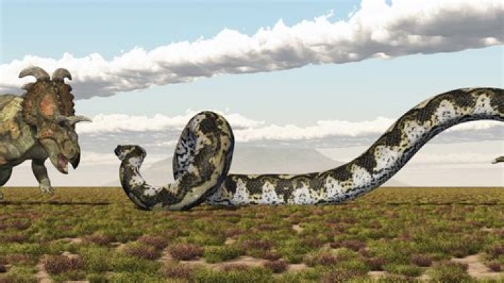 What is the oldest snake?