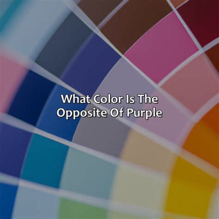 What is the opposite of speculation?