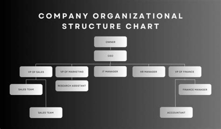 What is the optimal structure of a company?
