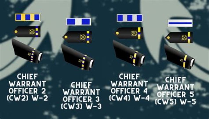 What is the point of warrant officers?