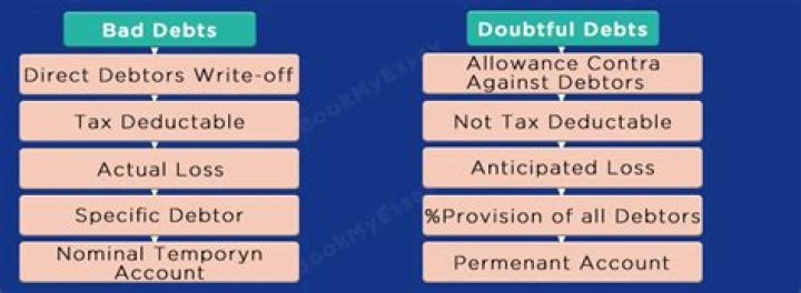 What is the provision for doubtful debts?