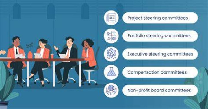 What is the purpose of an executive steering committee?