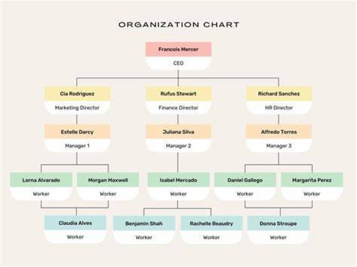 What is the purpose of an organization chart quizlet?