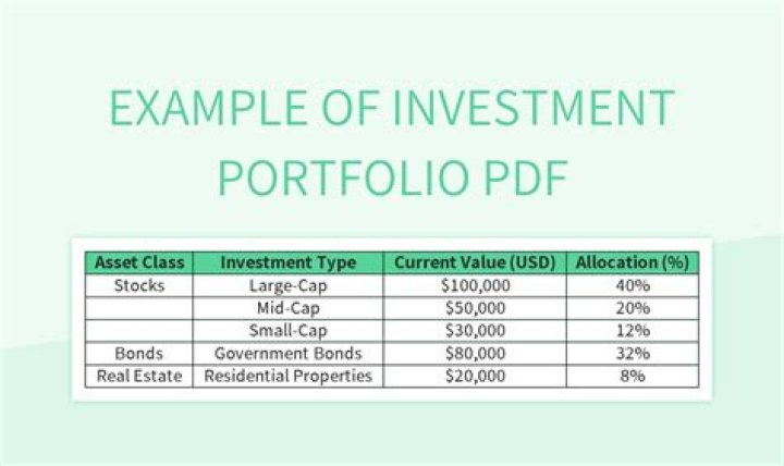 What is the purpose of portfolio investment?