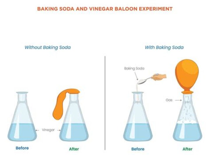 What is the purpose of the vinegar salt solution in the penny experiment?
