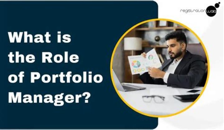 What is the role of a portfolio manager?