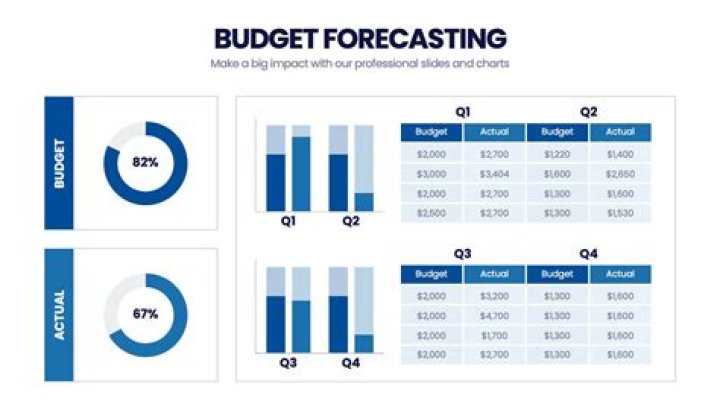 What is the role of budgets and performance reports?