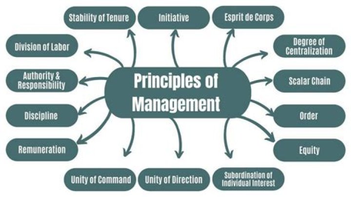 What is the role of principle of management for managers?