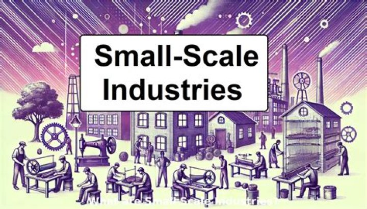 What is the role of small scale industries in our economy?