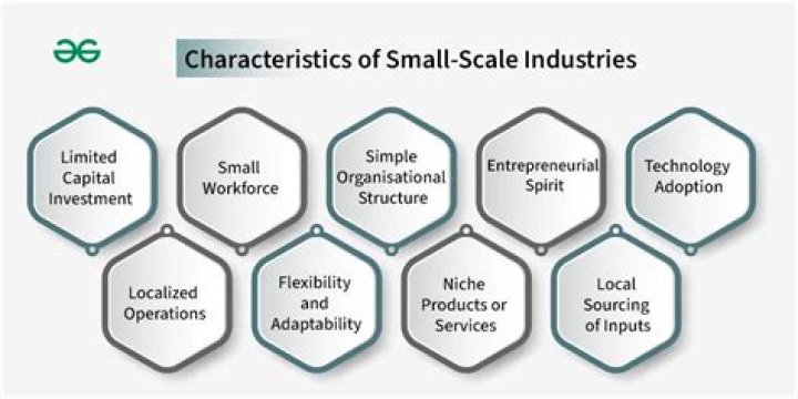 What is the scope and objectives of small scale industries?