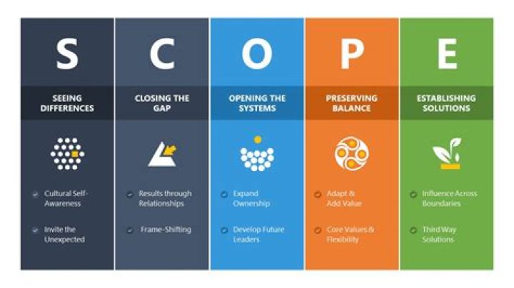 What is the scope of business Organisation?