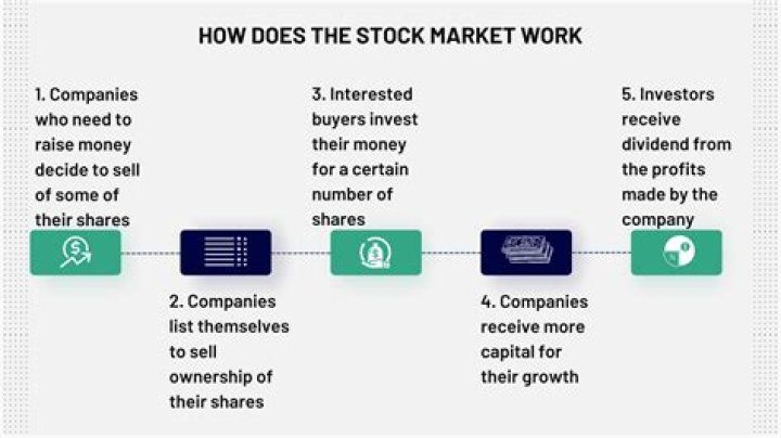 What is the stock market and how does it work?