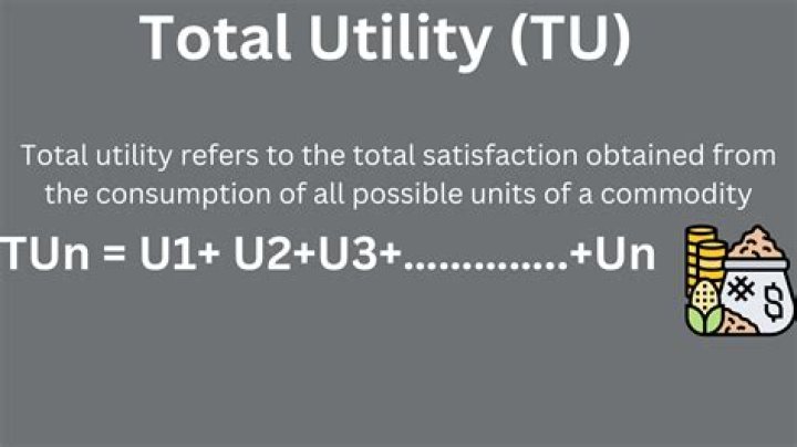 What is the total utility?