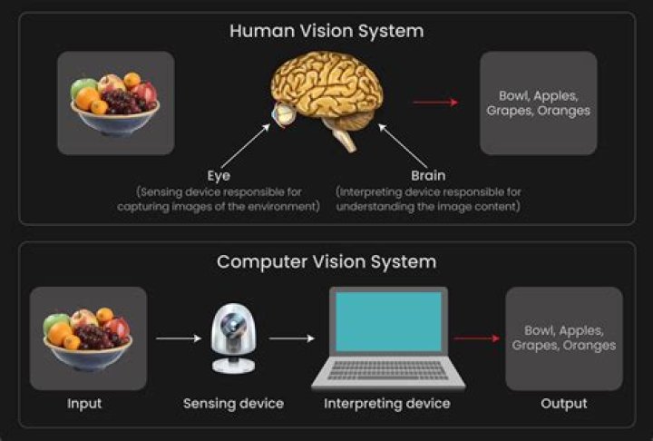 What is the vision of Apple Inc?