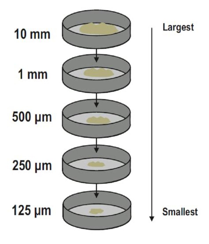 What is the weight of sample used in sieve analysis?