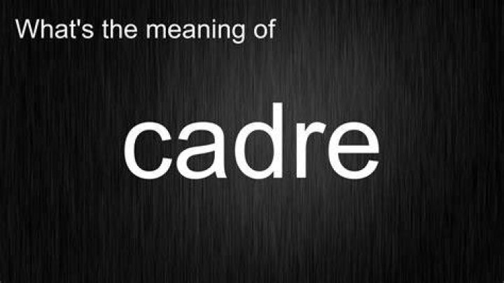 What is the word cadre mean?