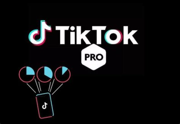 What is TikTok Pro account?