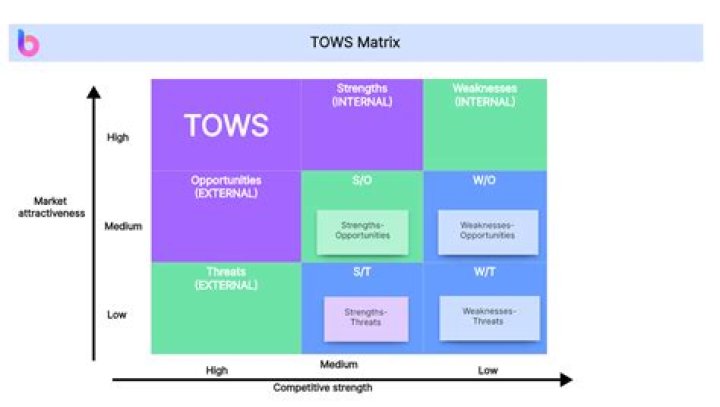 What is Tows Matrix explain?