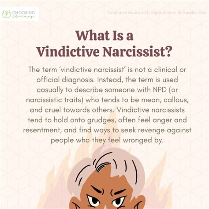 What is vindictive damage?