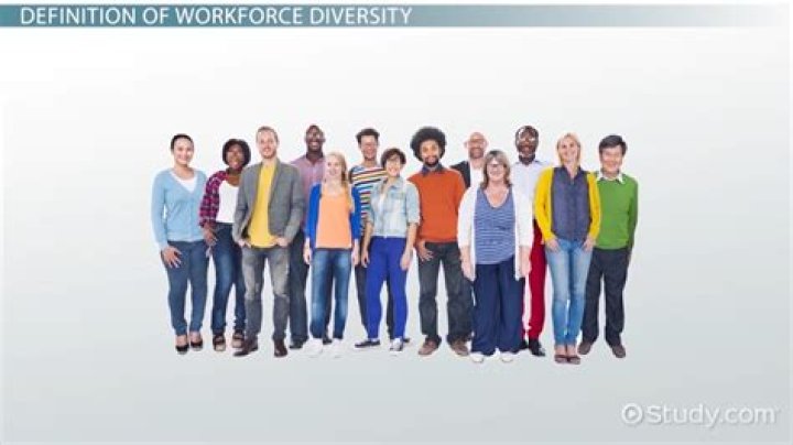 What is Workforce diversity definition?