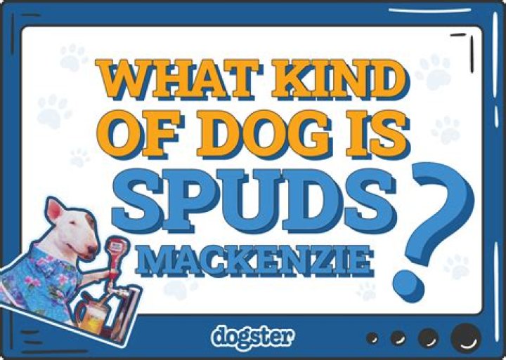What kind of dog was Floyd?