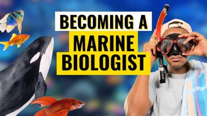 What kind of jobs can you get with a marine biology degree?