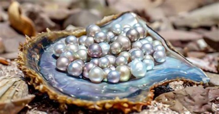 What kind of pearls come from China?