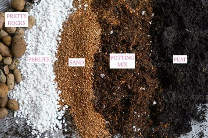 What kind of sand do you mix with topsoil?